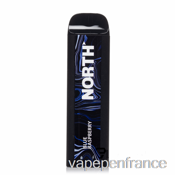 Stylo Vape Jetable Framboise Bleue North 5000